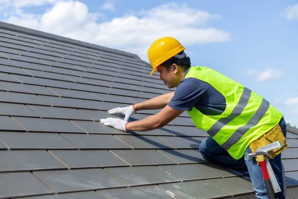 Best Roof Moss and Algae Removal  in Pleak, TX